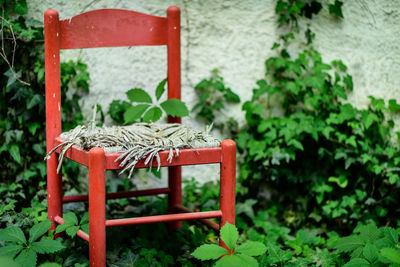 Empty chair and table against plants