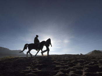 Silhouette man walking with male friend riding on horse at desert