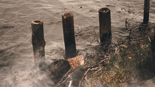 High angle view of wooden posts on beach