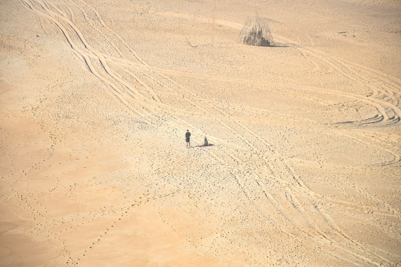 sand, desert, arid climate, sand dune, one person, nature, landscape, outdoors, day, tire track, one man only, scenics, animal themes, beauty in nature, only men, bird, people, mammal