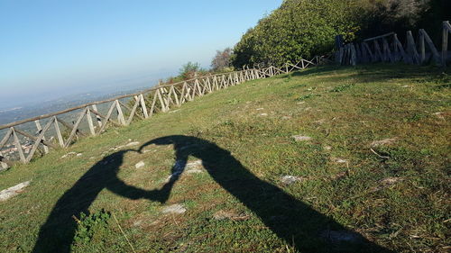 Shadow of tree on landscape