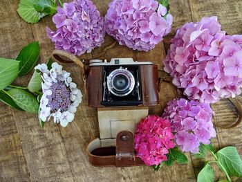 High angle view of pink flowers on table and an retro camera