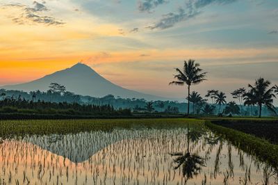 Shadow of mount merapi in the morning