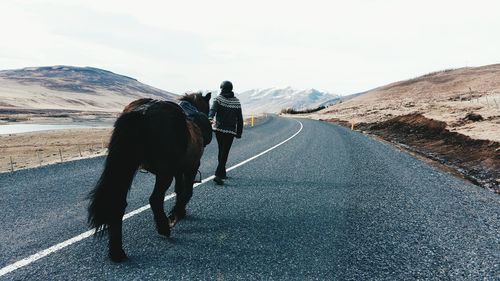 Rear view of man with horse walking on road against sky