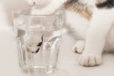Close-up of drink