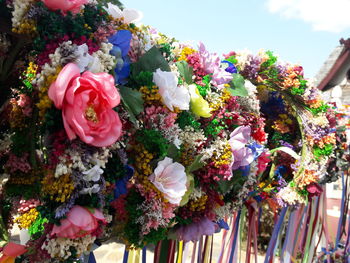 Close-up of multi colored flowers