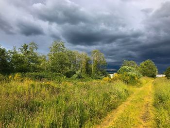 Scenic view of field against cloudy sky