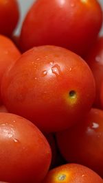 Close-up of wet tomatoes in water