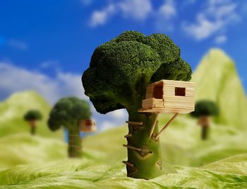 Close-up of broccoli decoration