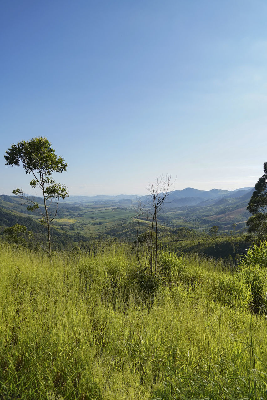 SCENIC VIEW OF LAND AGAINST CLEAR SKY