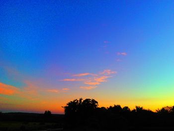 Silhouette of trees at sunset