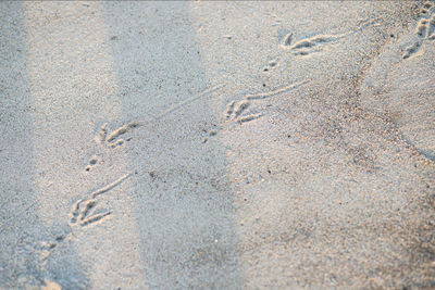 High angle view of footprints on sand