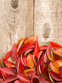 Close-up of orange leaves on table