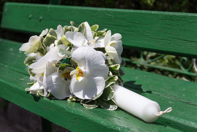 High angle view of white flowers