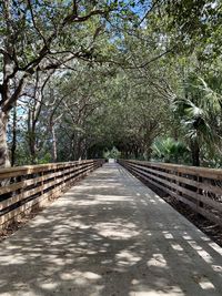 Footpath amidst trees in forest