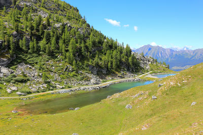 Scenic view of tree mountains against sky