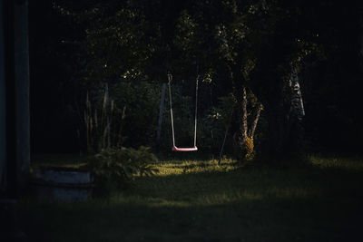 Swing in garden at dusk