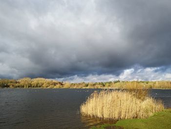 Scenic view of lake against sky