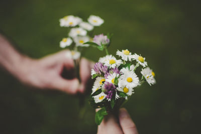 Close-up of woman holding flower