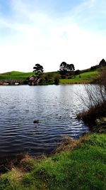 Swan swimming in lake against sky