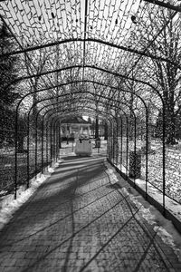 Empty footpath in park during winter