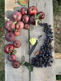 High angle view of fruits on table