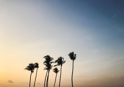 Low angle view of silhouette palm trees against sky during sunset