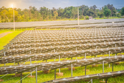 Scenic view of farm against sky