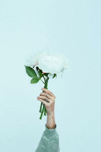 Hand in costume jewelry holding flowers on white wall background. 