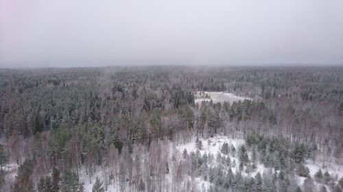 Panoramic shot of trees on landscape against sky