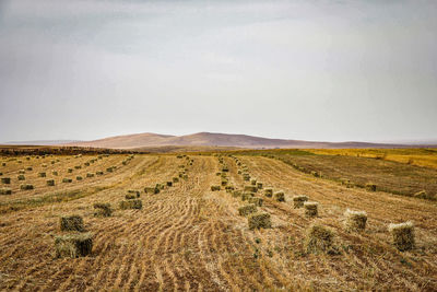 Beautiful yellow prairie under the mountain in autumn