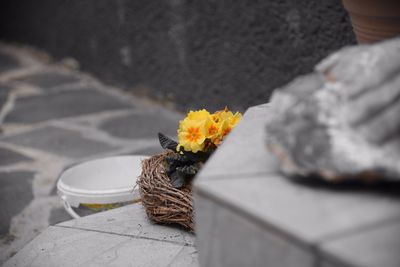 Close up of yellow flowers