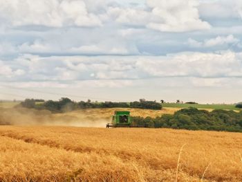 Scenic view of agricultural field against sky