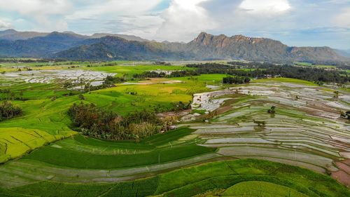 Scenic view of agricultural field against sky