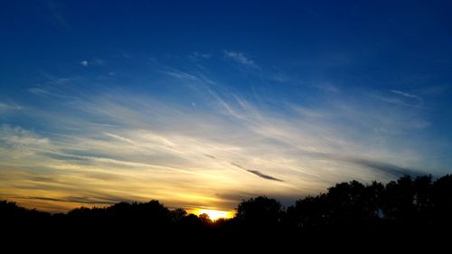 Silhouette trees against blue sky during sunset