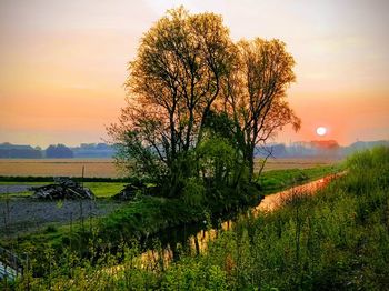 Scenic view of field against sky during sunset