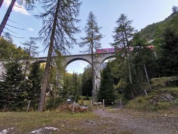 Arch bridge over trees in forest against sky