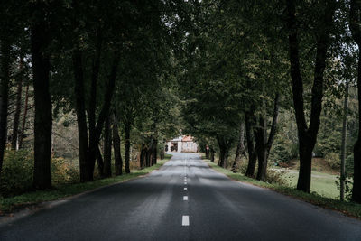 Road amidst trees