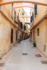Alley amidst buildings