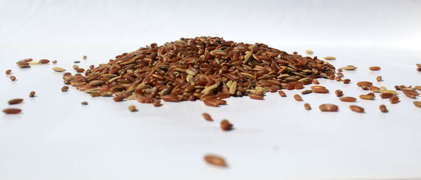 Close-up of food over white background