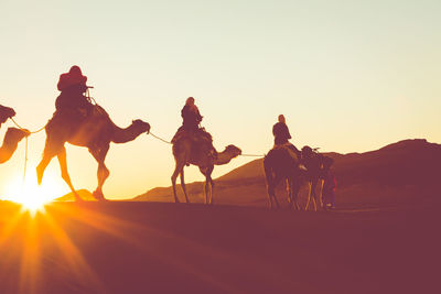 Group of people riding horse on desert against sky