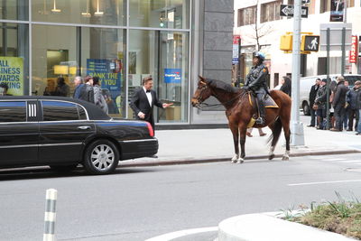 Horse cart on street in city