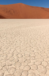 Close-up of desert landscape