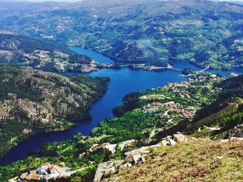 High angle view of lake and trees