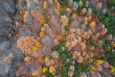 Full frame shot of cracked land