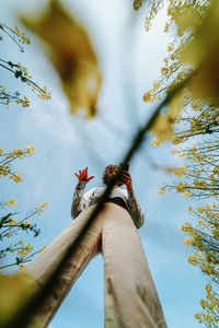 Low angle view of insect flying against the sky