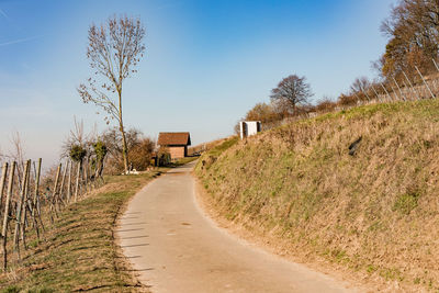 Dirt road amidst plants and trees against sky