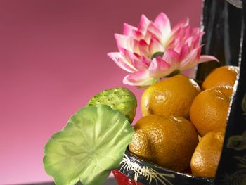 Close-up of oranges in basket against pink background