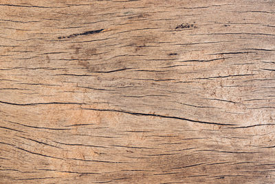 Full frame shot of weathered wooden plank