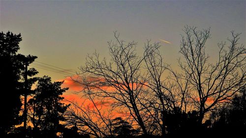 Silhouette trees against sky during sunset